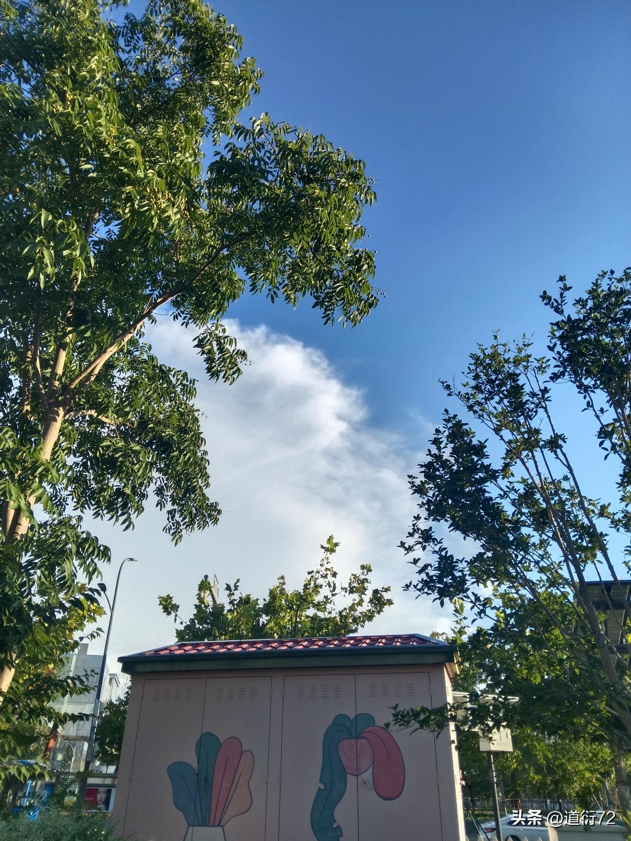 眼下德俄两国的关系正持续走低，可要是拉到历史的长维度里看，这点摩擦不过是段小插曲