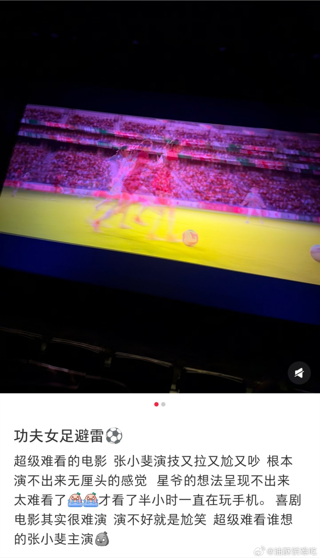 起因是我昨天写了一篇功夫女足的影评，其中提到看完功夫女足让我对张小斐滤镜破碎，然