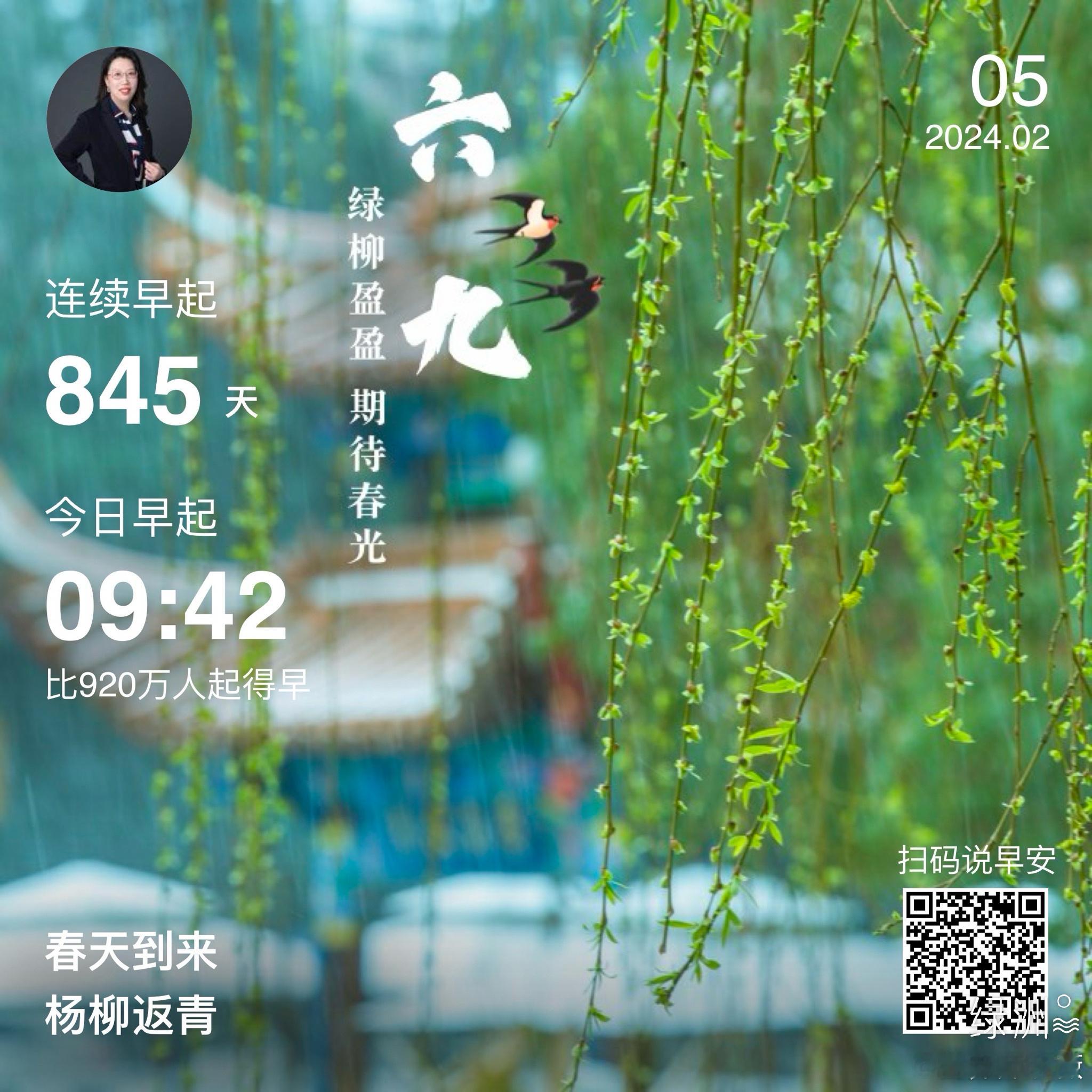 #早安#春天到来杨柳返青 