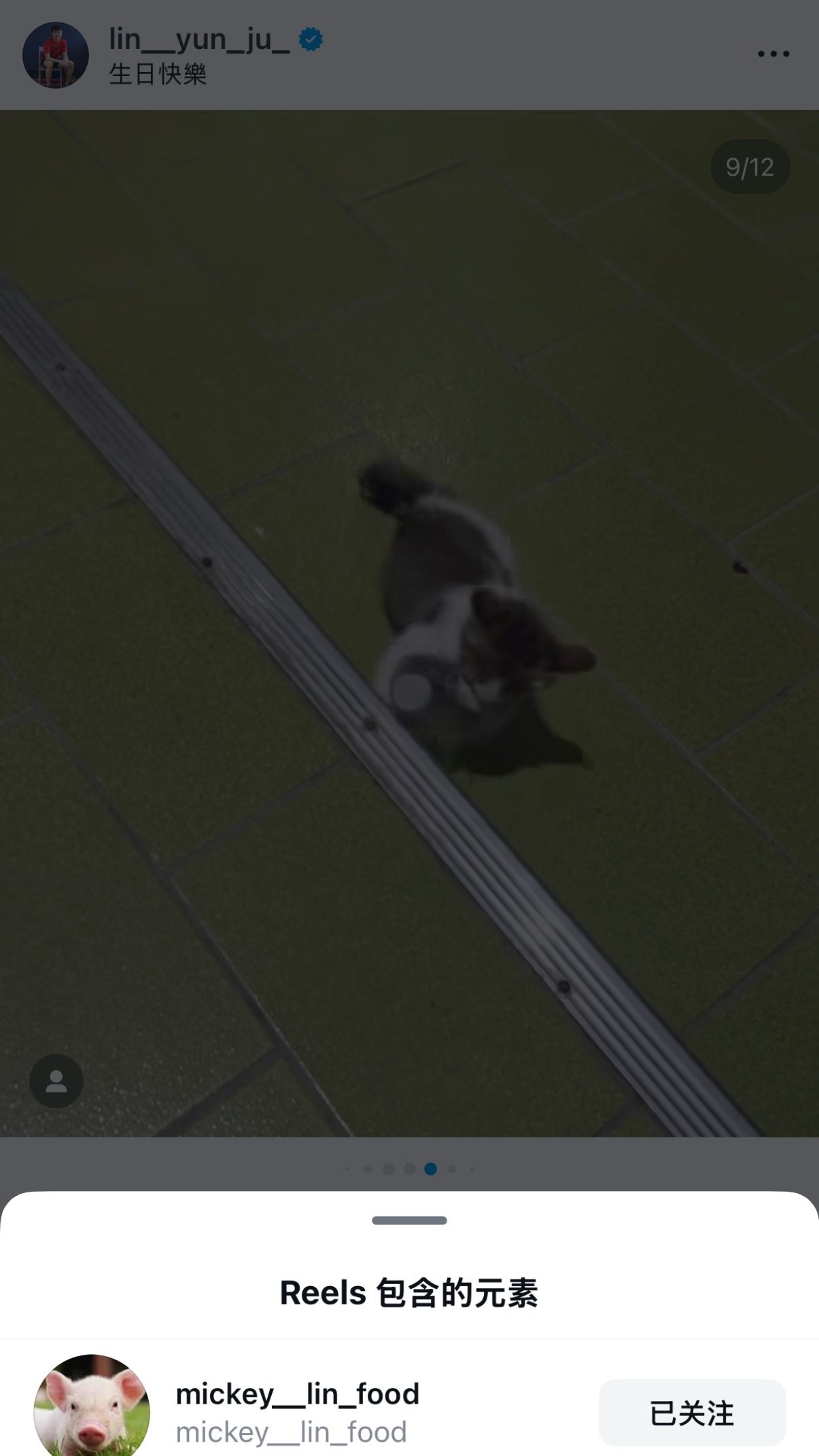 云云如认证米其林是一只小猫，所以云云如知道自己是一只小猫🥺🥺🥺 ​​​