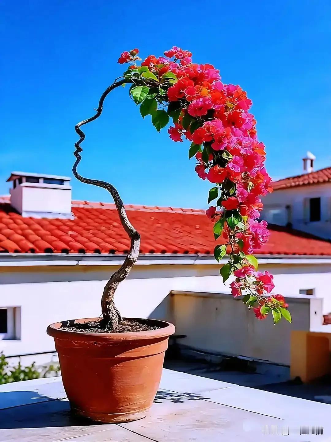 今天腊月二十八，今年没大年三十，明天直接就是除夕，年味拉满！最近头条热搜很热闹，