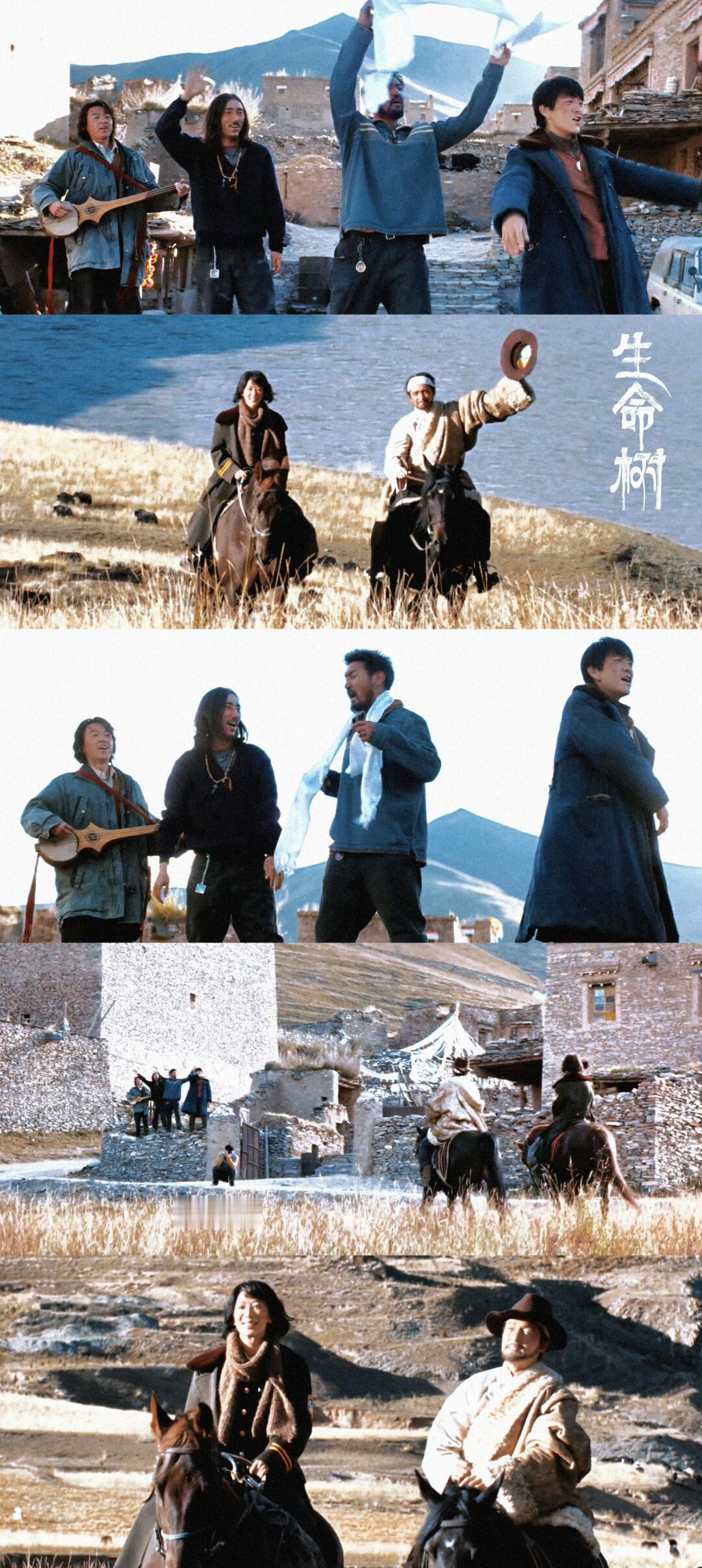 生命树巡山队人均SSR 多杰队长太稳了，像座山一样让人安心。危险永远自己先上，把