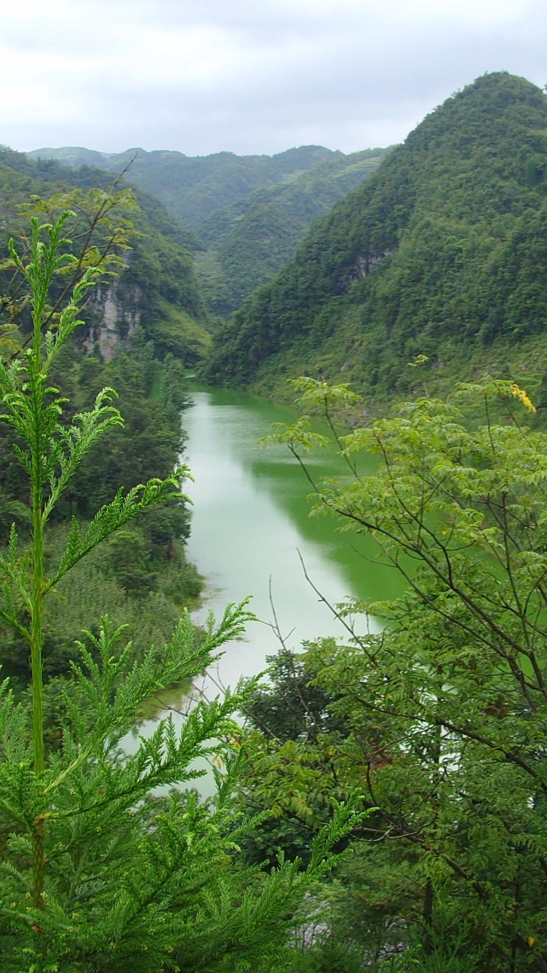 这是大山深处的一个村庄，是多少人童年的乐园。现在青山绿水依旧在，小溪河流依旧在，