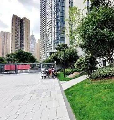 累了就抬头望天空，云的形状随你想象；或者看楼下的树，风吹叶动，瞬间从压力里抽离 