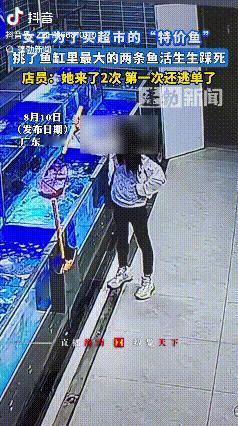 活不起了？广东佛山，一女子为了买“特价鱼”，趁超市工作人员不注意，将鱼池里最大的
