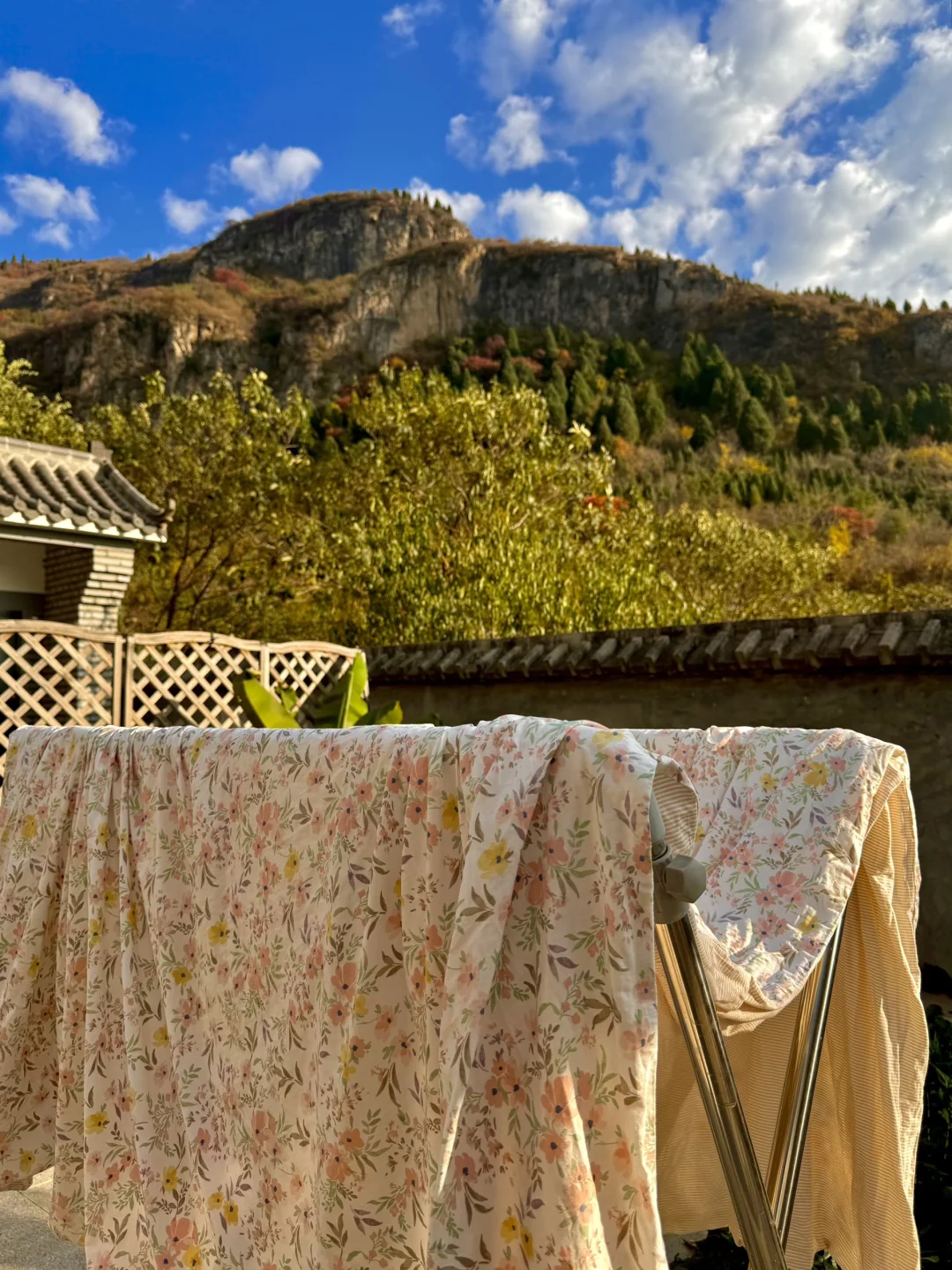 黄帝内经：2026火马年，女子在家静养是大补🌾