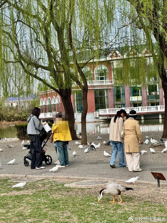 何穗素颜遛娃状态绝了高颜值萌娃基因开挂 网友在北京公园偶遇独自带半岁儿子散步，产