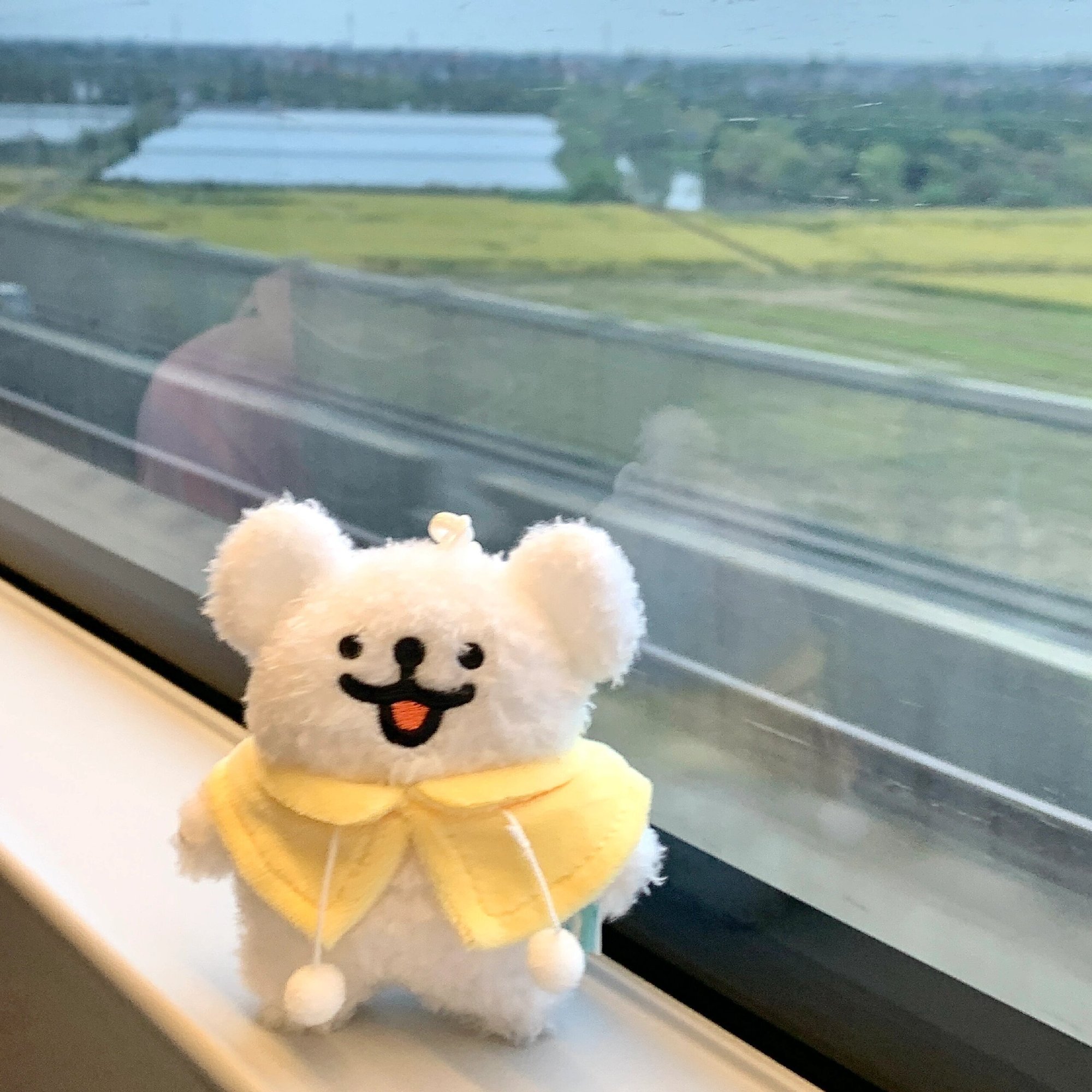 这组用来做WeChat头像也很棒～ 