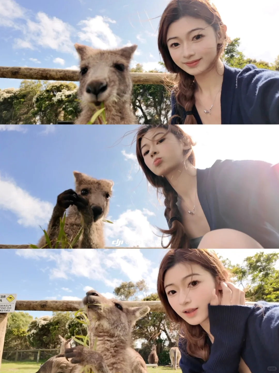 🇦🇺墨尔本旅游｜动物园里有什么！