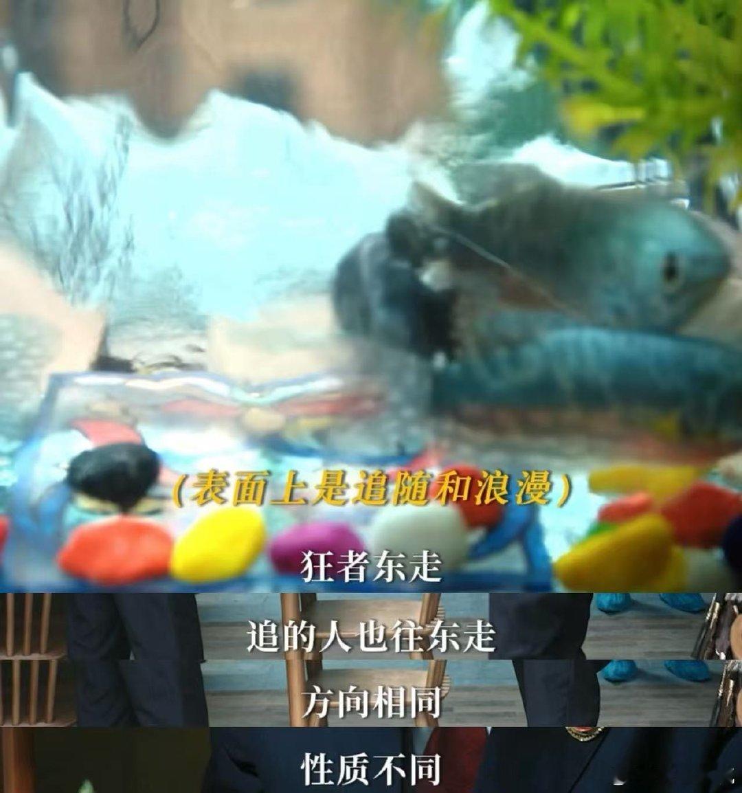 国产剧拍了妻子的反杀 看《正当防卫》预告里妻子的样子，就知道她被家暴得多惨，从校