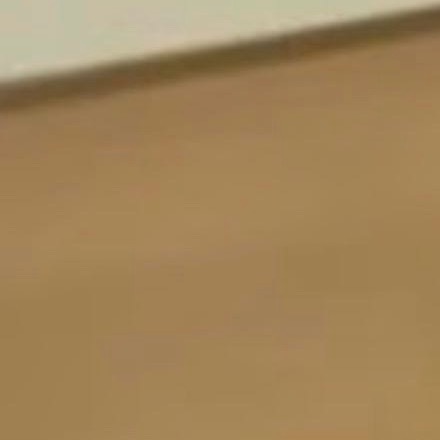 生活需要微笑，是微笑让这个世界变得更加温暖，变得更加的美丽生动，变得丰富多彩了有