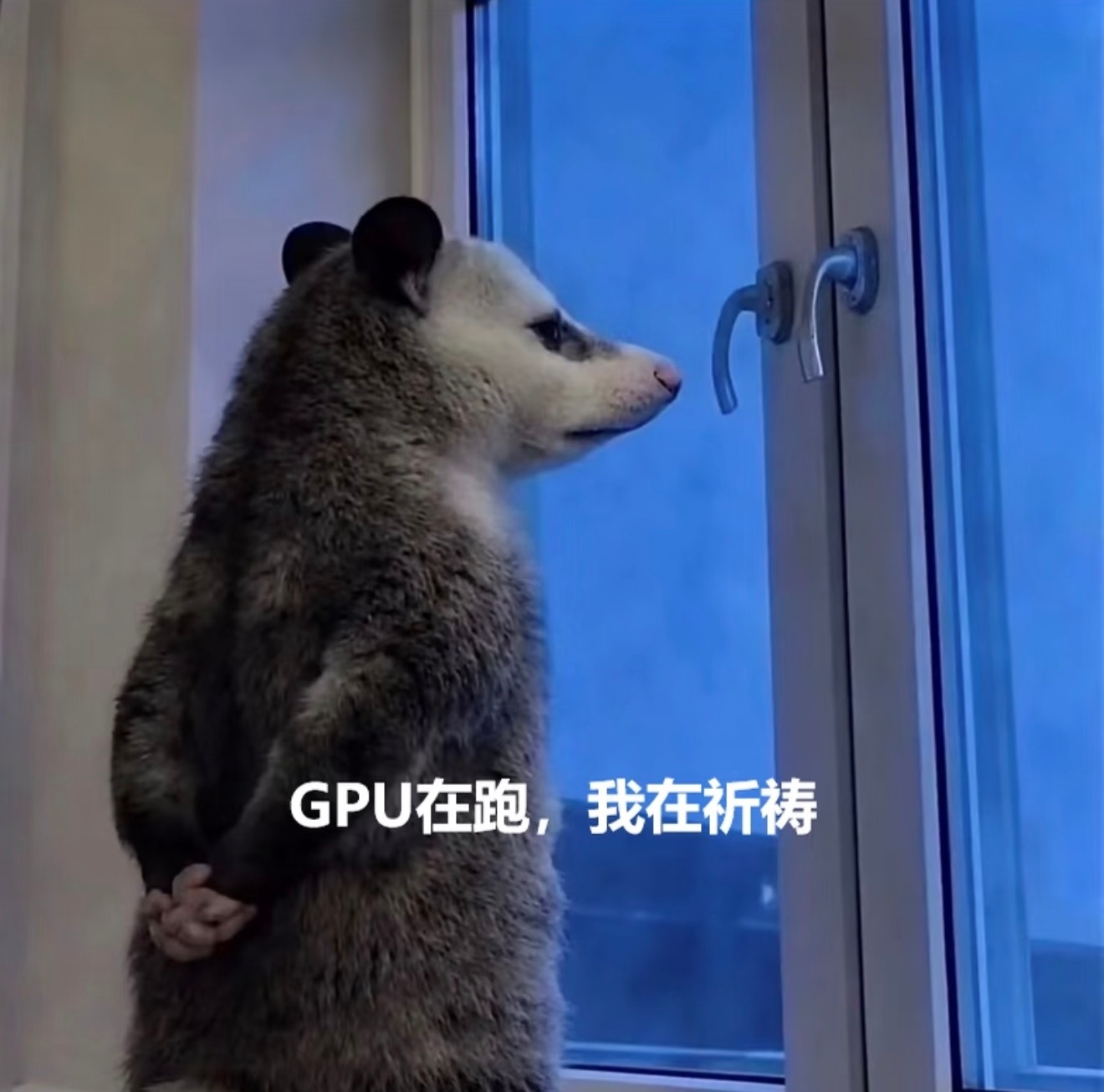 一觉没睡和豆包聊了8个小时我经常跟 AI 激情对话几百条。其实跟 AI 聊天很有