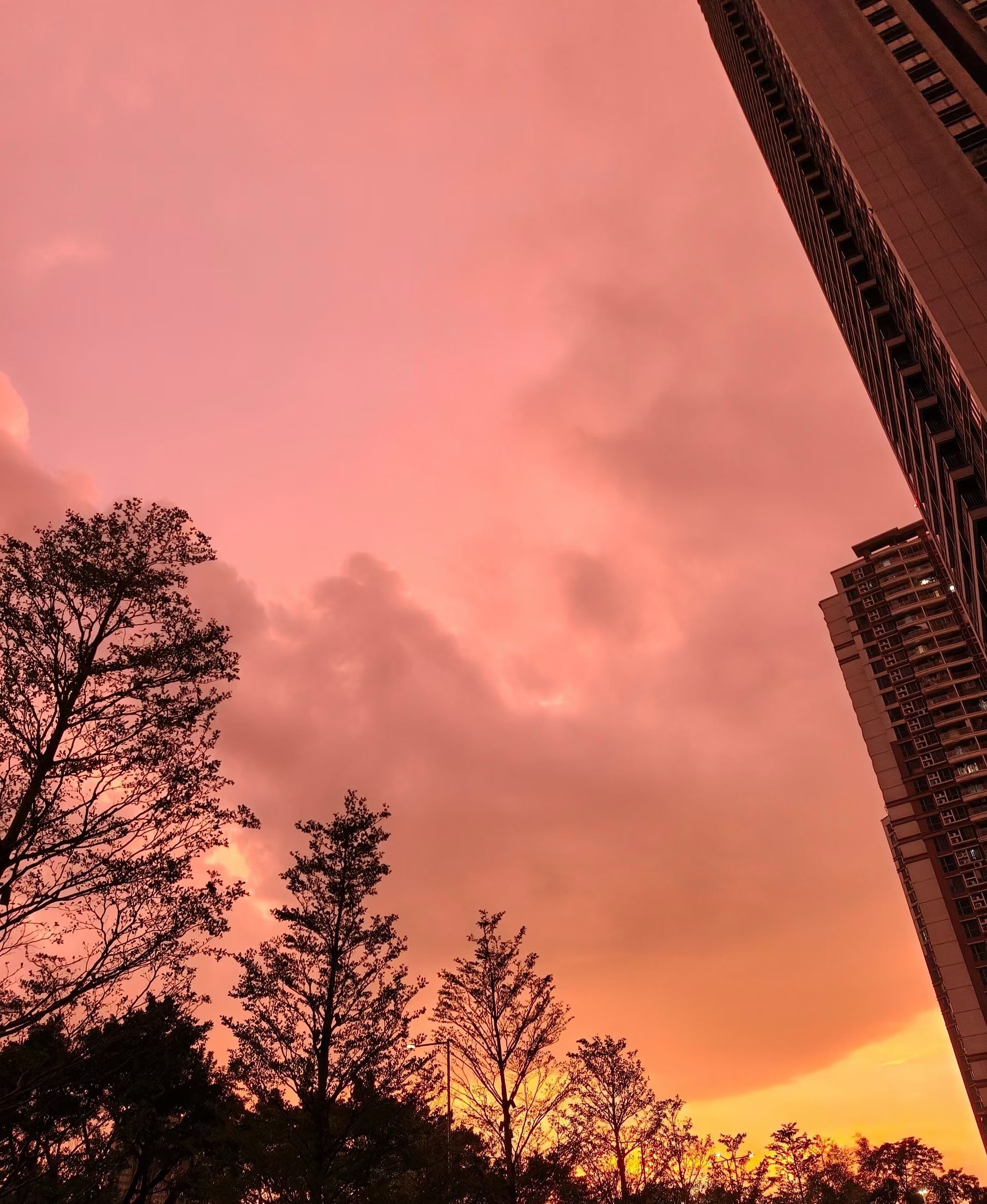 国庆傍晚的天空 ​​​