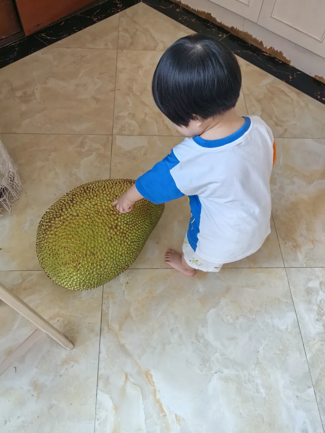 急！急！急！这么大的菠萝蜜咋吃啊！