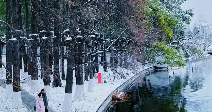 白雪|如入画境！在东湖迎接2023第一场雪