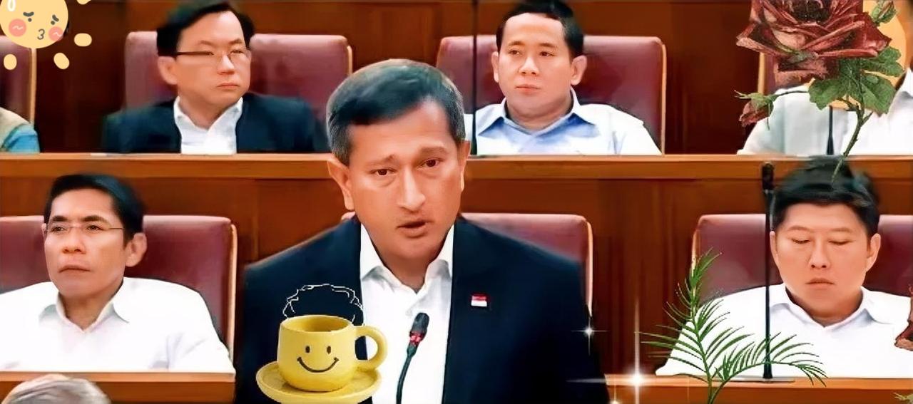 新加坡外长维文呼吁中国宽容，难道不明白站错队的后果吗？

新加坡一味地选边站，导