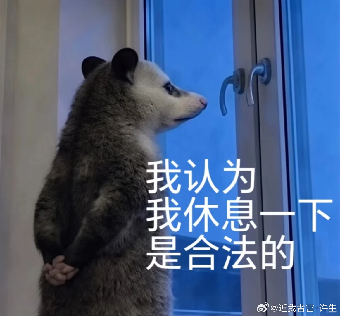下方首要支撑直接破位，都不给一点反弹的机会，一直想让市场给到咋们反弹杀空的机会，