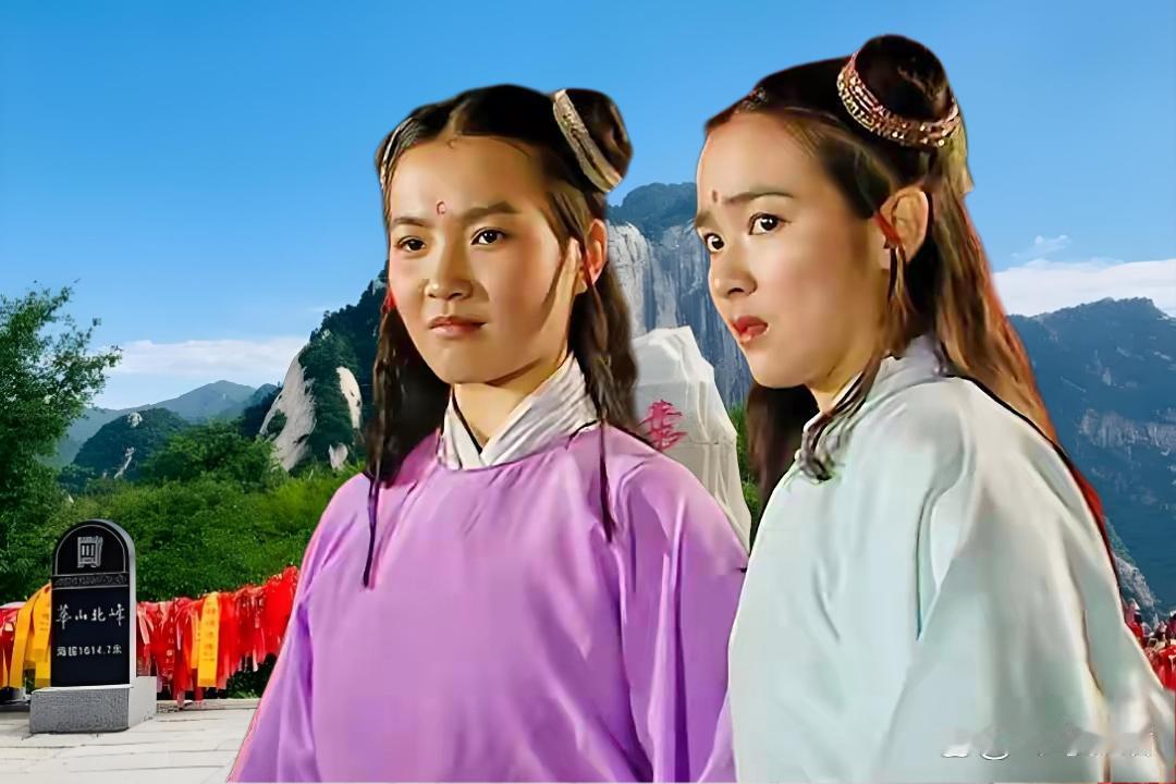 华山专治各种不服，有的人说，就是不服登华山容易，结果，下山的时候，双腿都抖成面条