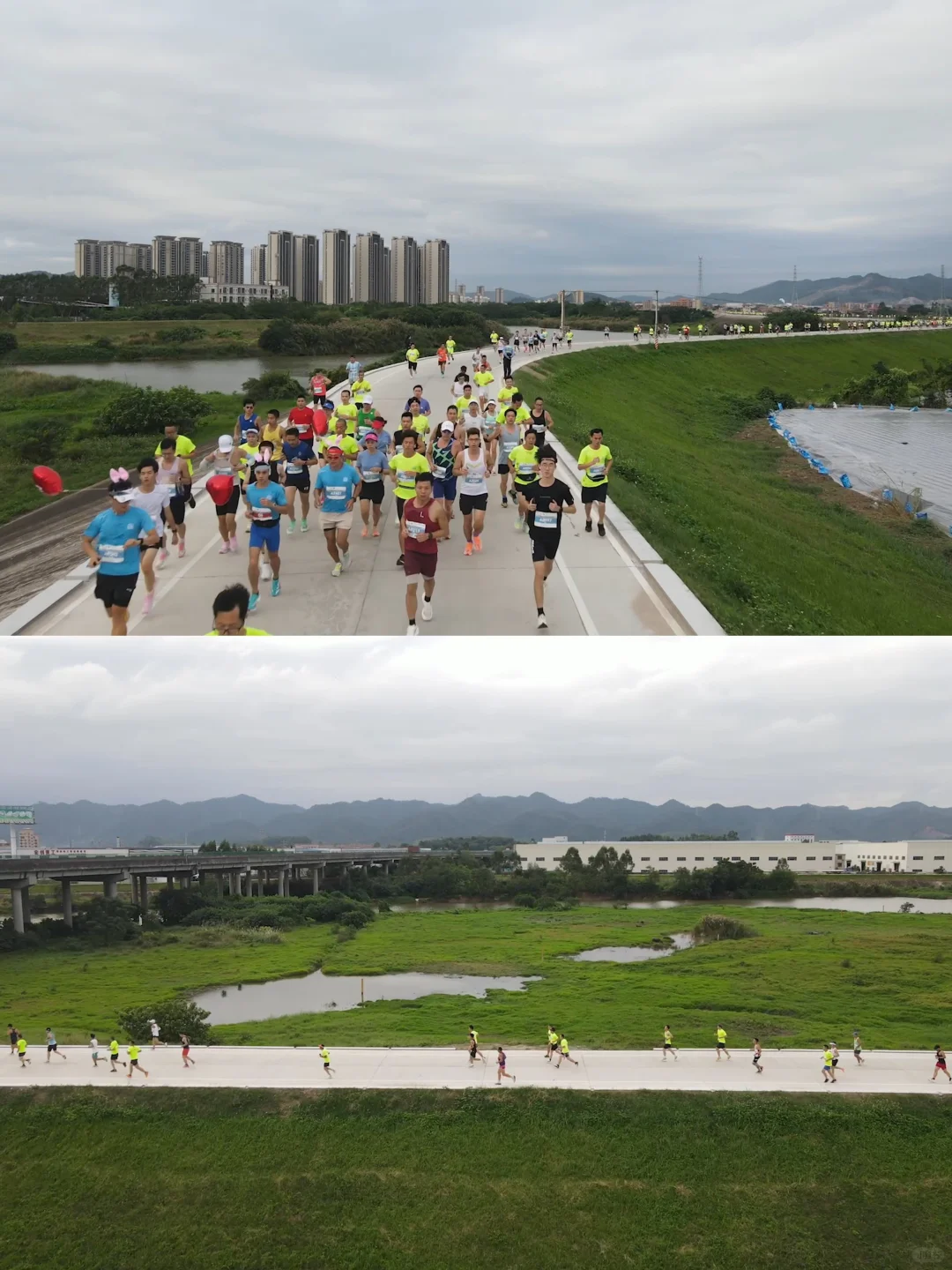 跑“稻”高明，一起做地主‼