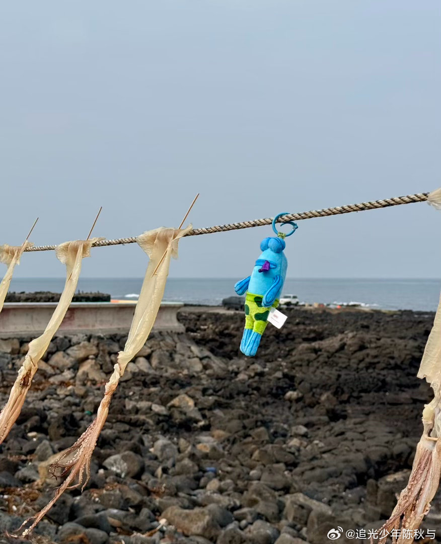 鱼干界有自己的稻草人发现了一只死感很足的鱼干很难想象老板的心理状态校园v计划开学