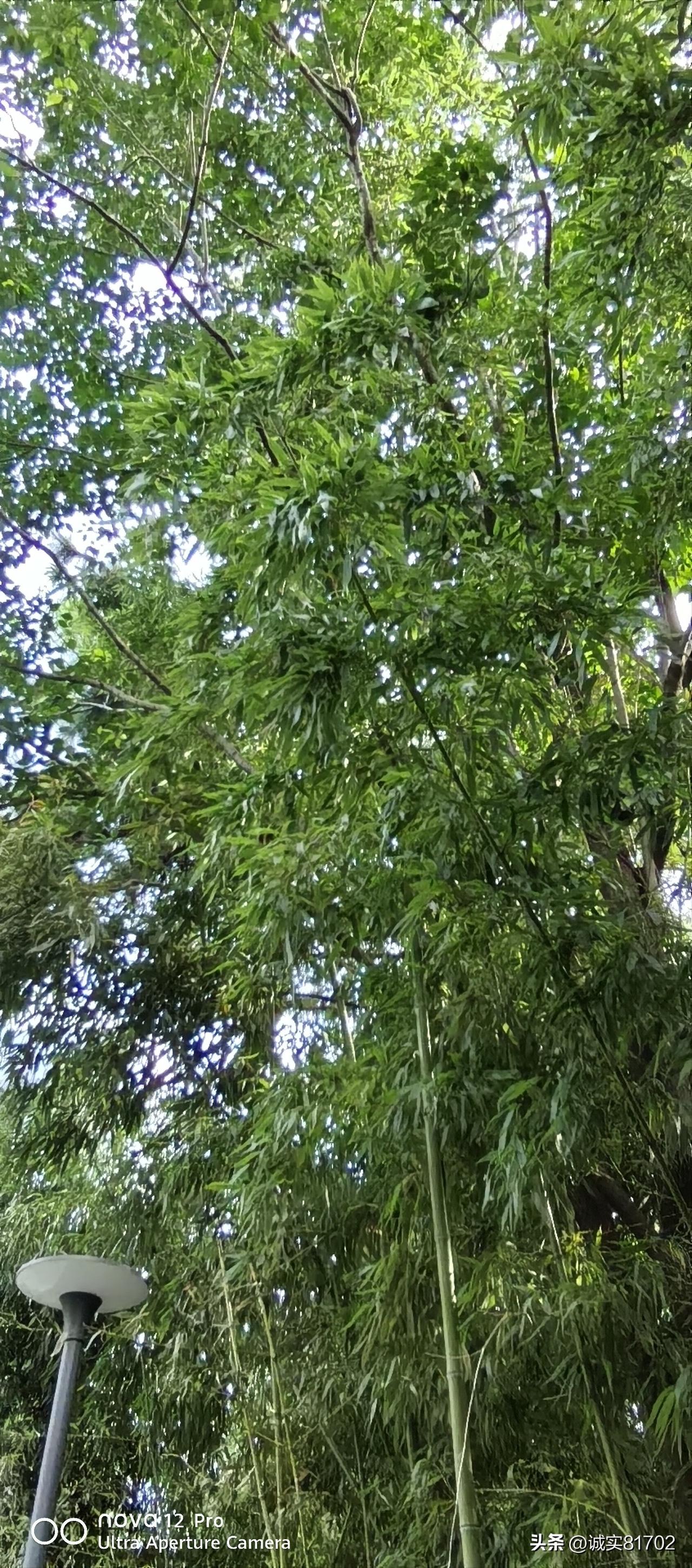 坚持就是胜利，每天必备，每天坚持也是爱好。