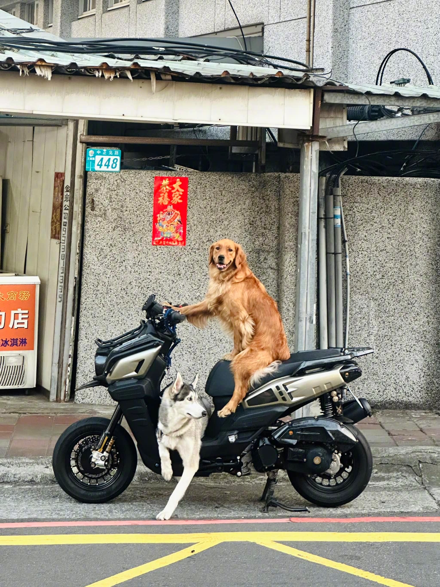 有趣的台湾网图[照相机]（第75期） ​​​