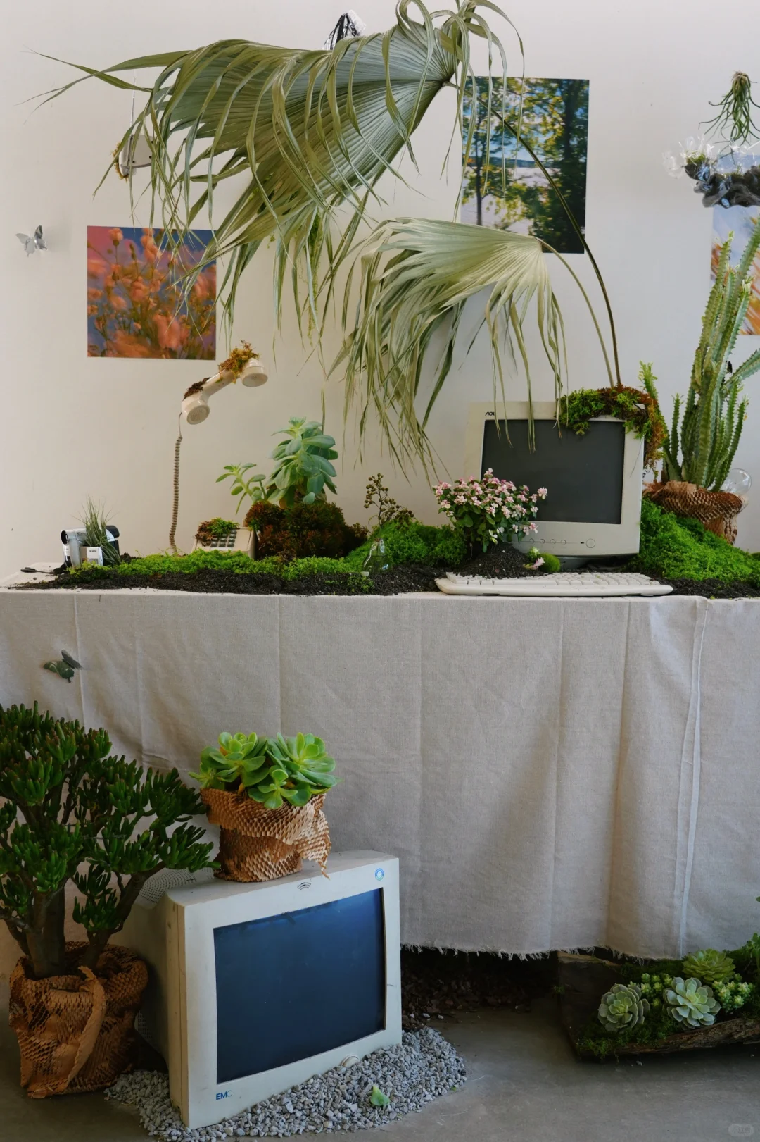 无锡｜🍃植物厅里开新咖啡店咯🌳