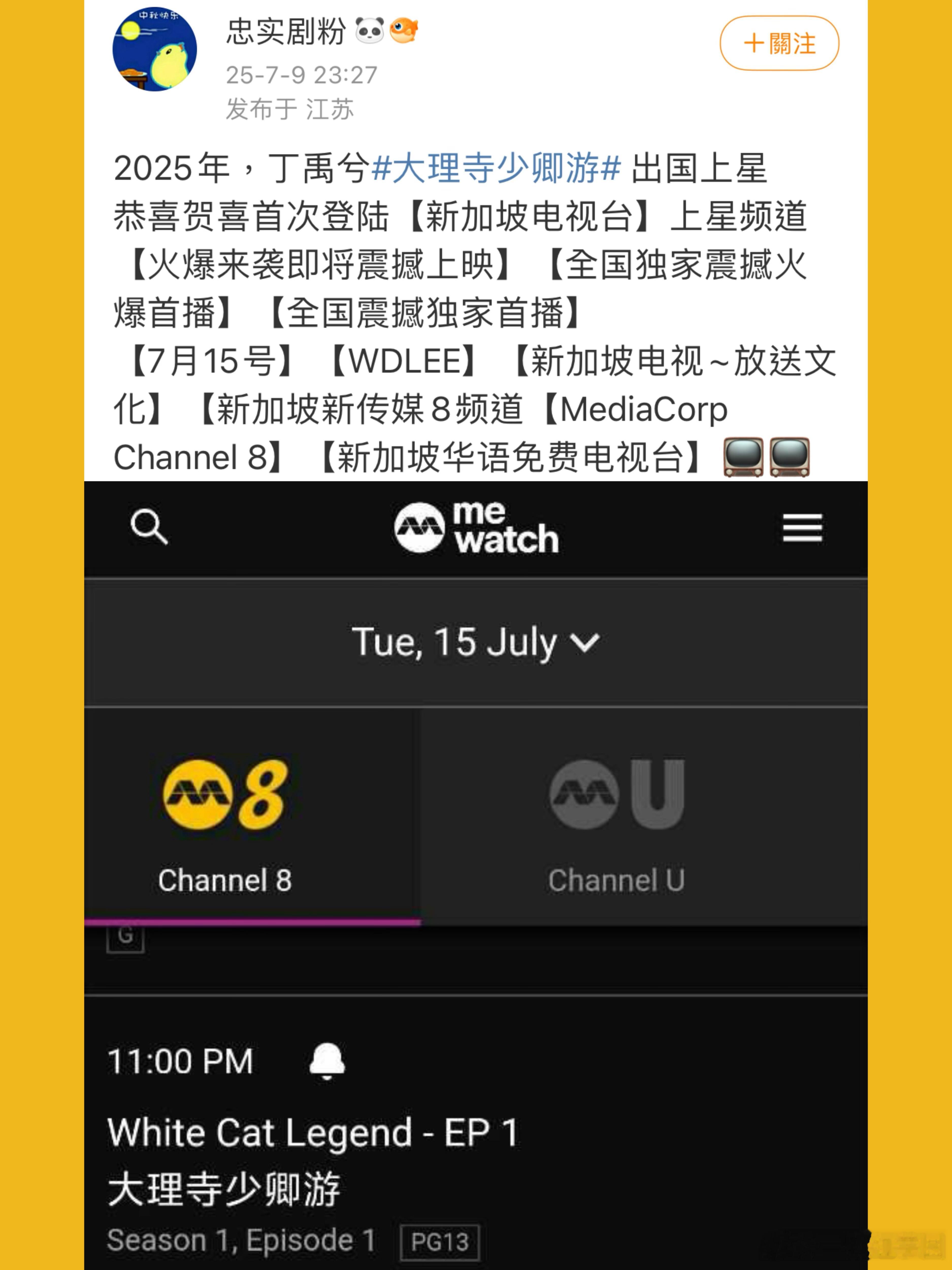 丁禹兮 第一部国漫改编一番作品《大理寺少卿游》正式上星新加坡🇸🇬！上星实绩又