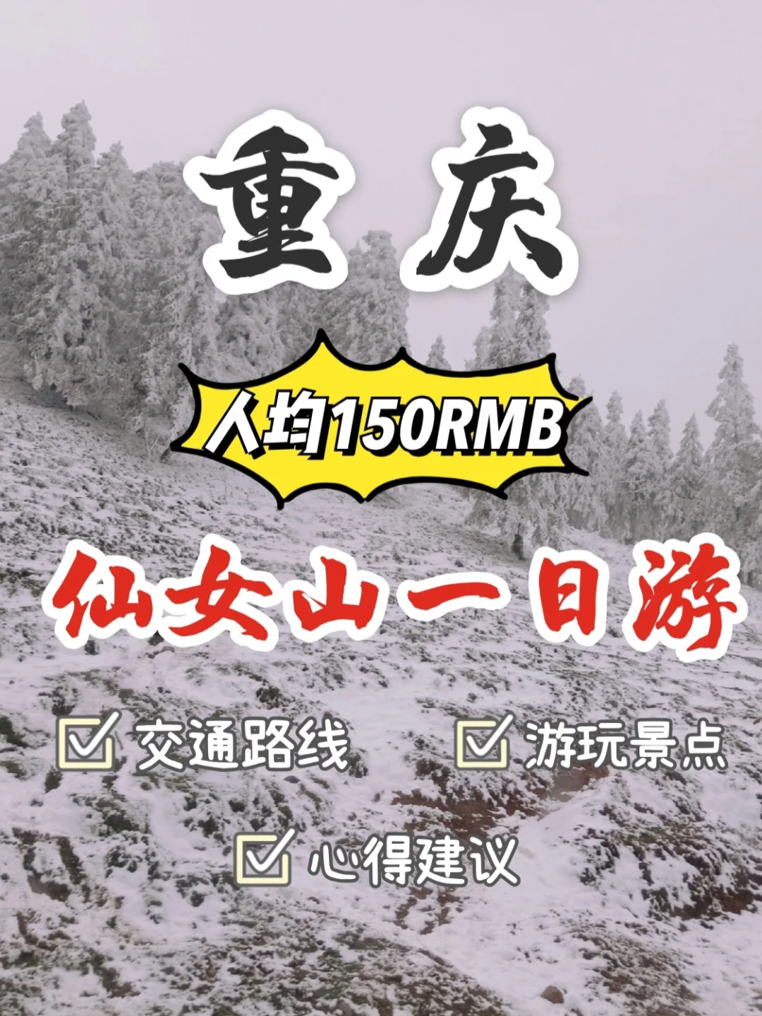 重庆旅游 | 仙女山⛄最全攻略，不可错过❗