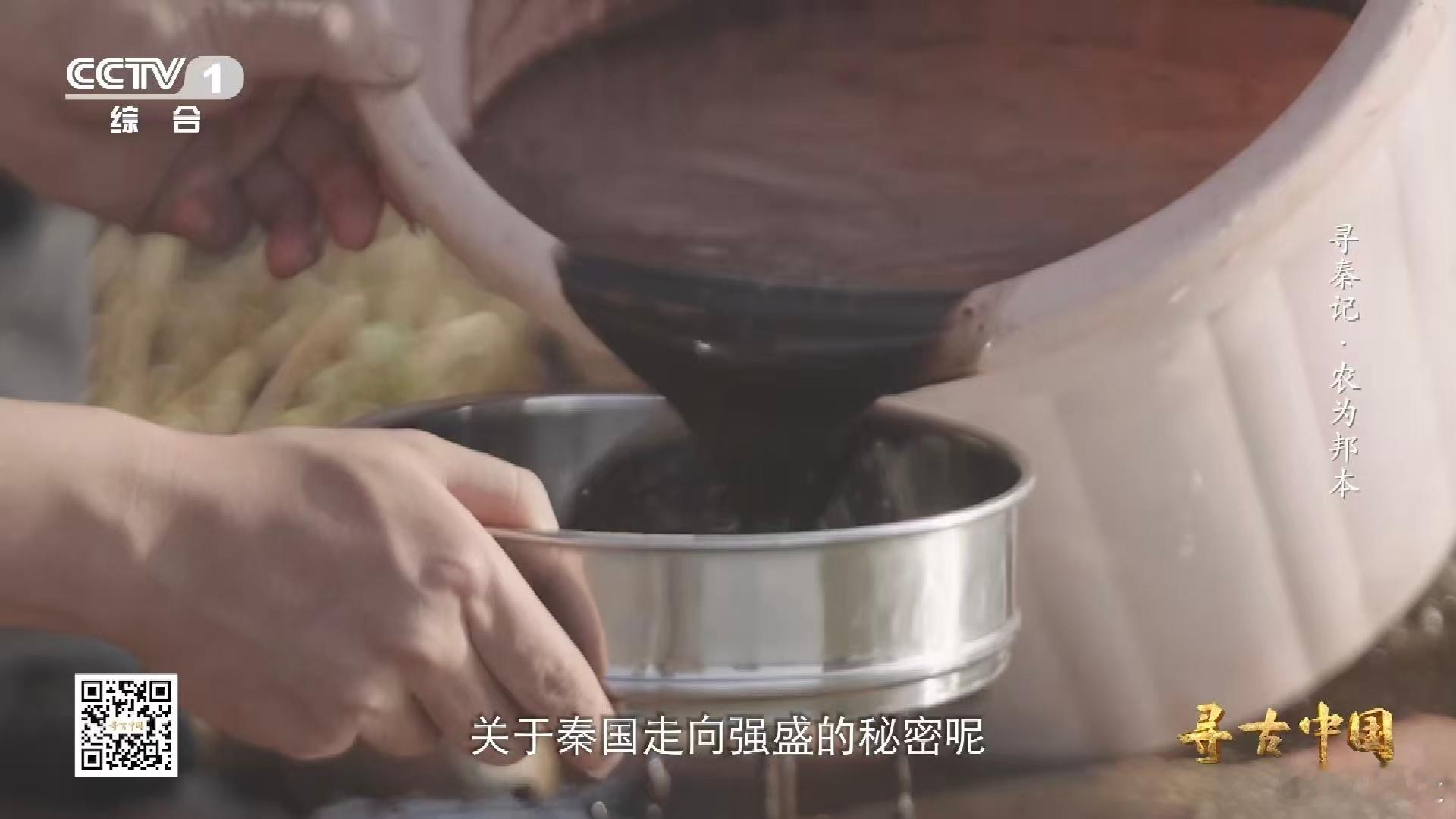 从3升土里淘出秦人食谱2000多年前的垃圾桶 考古就像一场充满未知的冒险，在魏家