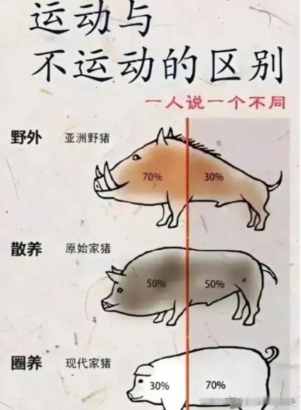建议大家保持微胖身材 当务之急应该是增肌[柯基]有些人虽然体重小，但是体脂率35
