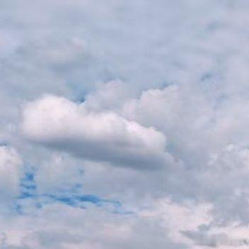 每日一善 🌷阳光信用生命匆匆，不必委曲求全，不要给自己留下遗憾，以自己喜欢的方