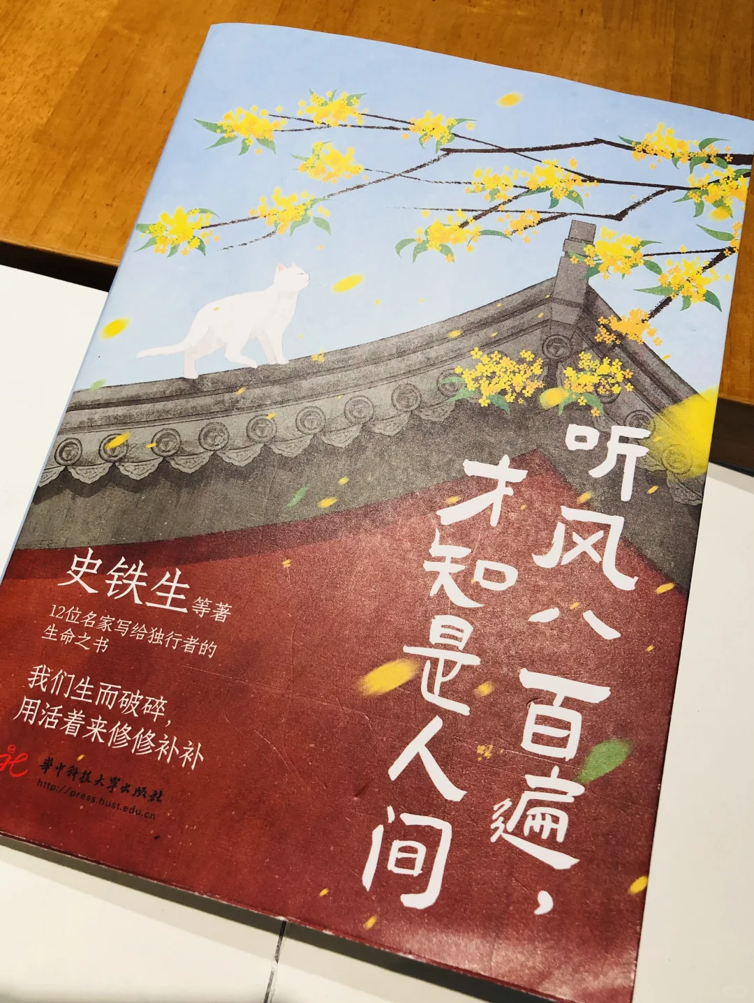 听风八百遍，才知是人间｜42篇好作文