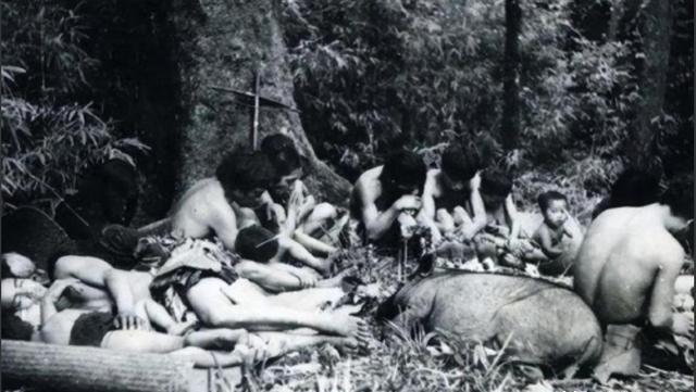 1956年，部队在云南原始森林深处，发现一群衣不蔽体、蓬头垢面的男男女女。经过调