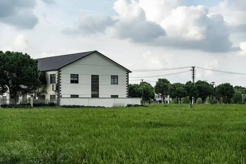 振兴乡村可从多方面入手。产业是关键，就拿我们村来说，以前只靠传统农业，收入微薄。