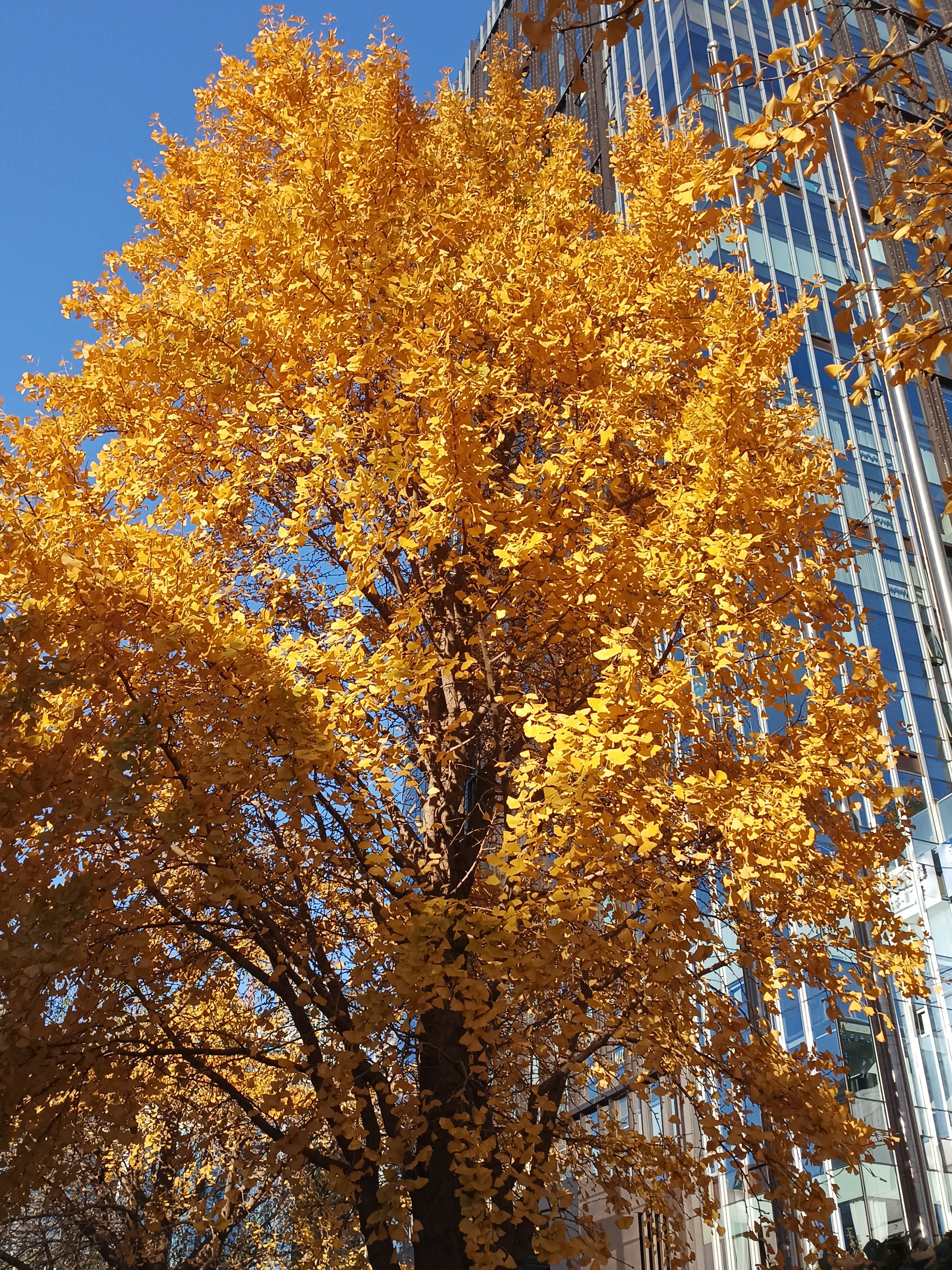 倡导富强、民主、文明、和谐，倡导自由、平等、公正、法治，倡导爱国、敬业、诚信、友