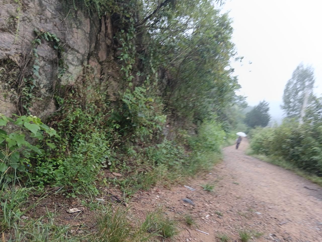 老家的眷恋
       中元归乡，脚步不自觉停在龙井旁。青石板上还留着往昔的水