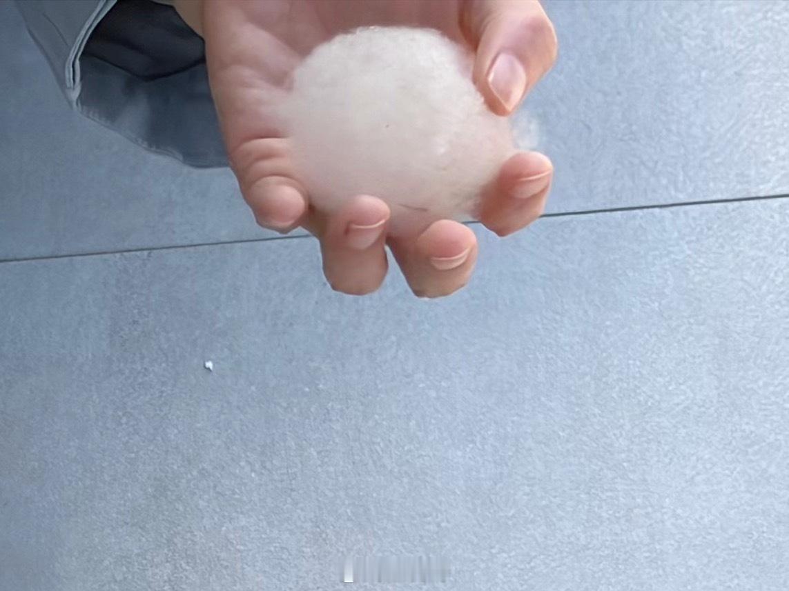 北京最近飘的是杨絮吧？都可以搓成“雪球”了杰克的生活日记 北京
