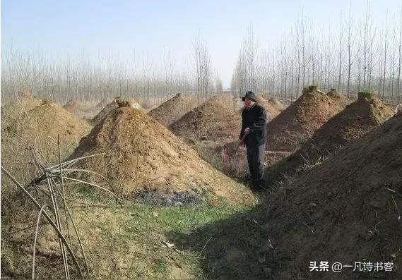 排律·清明
千里驱车九小时，乡心莫问欲何之。
运河绕处双亲冢，渤海潮中常梦思。