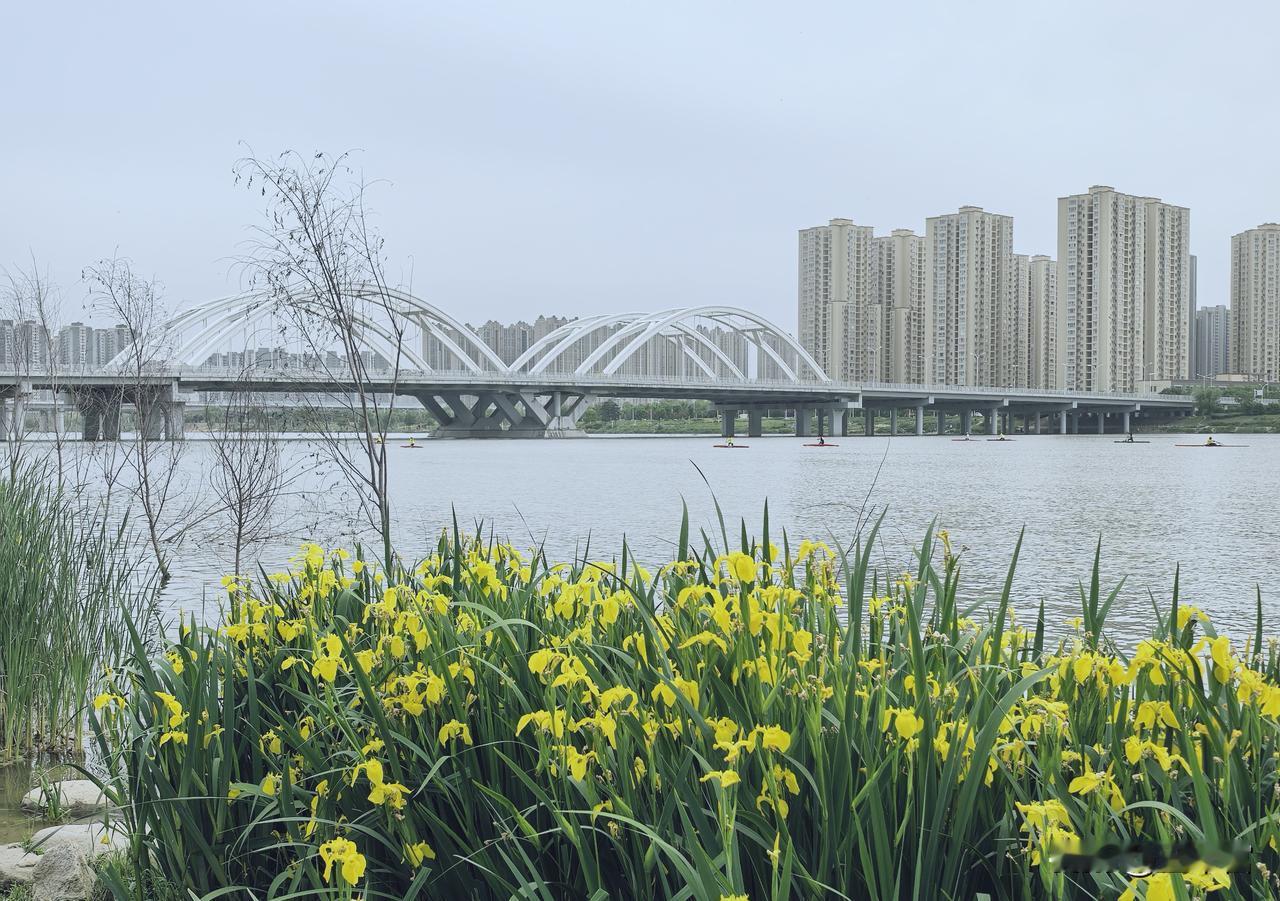 拍出你们眼前的照片