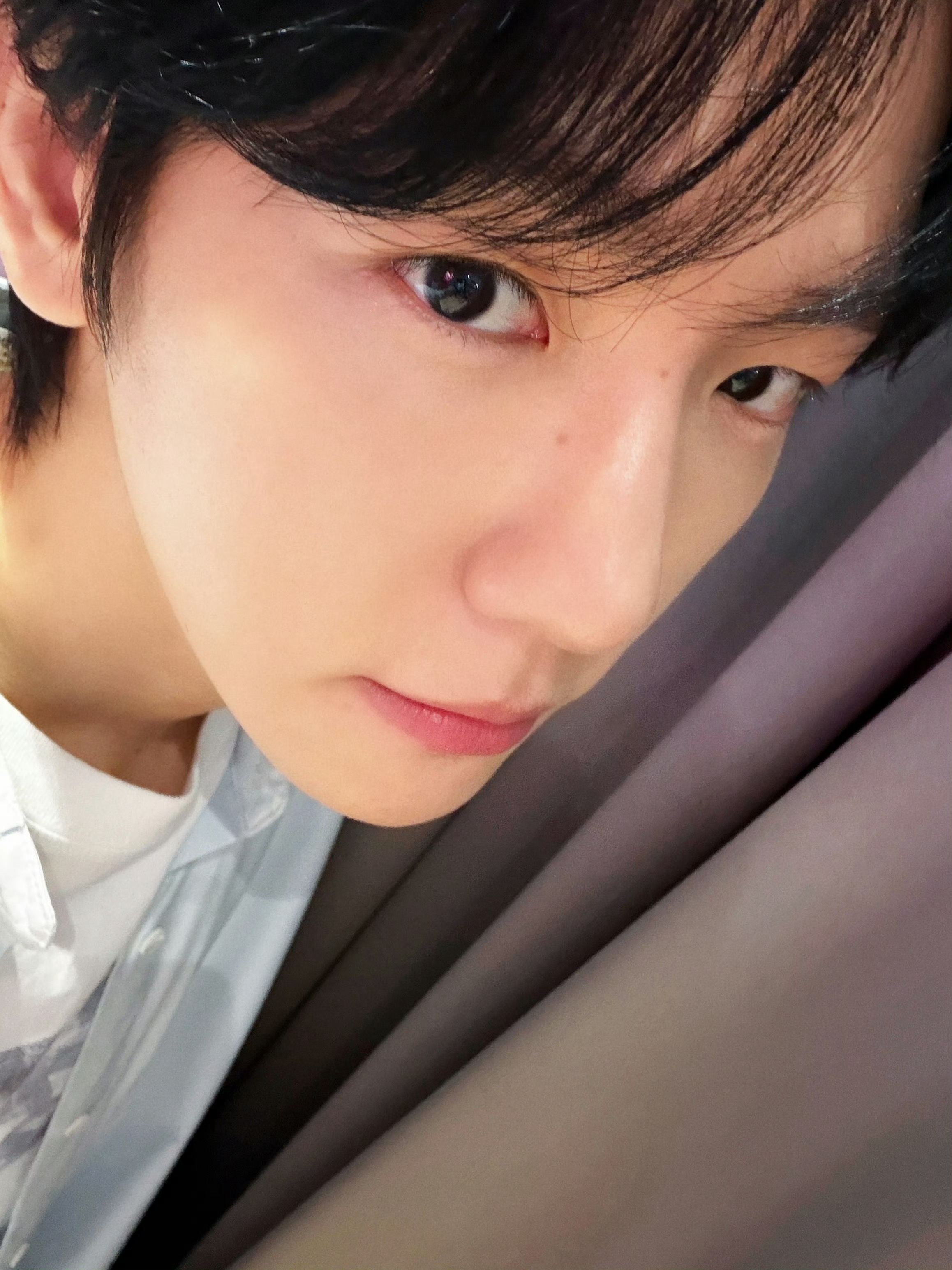 向全世界安利我担