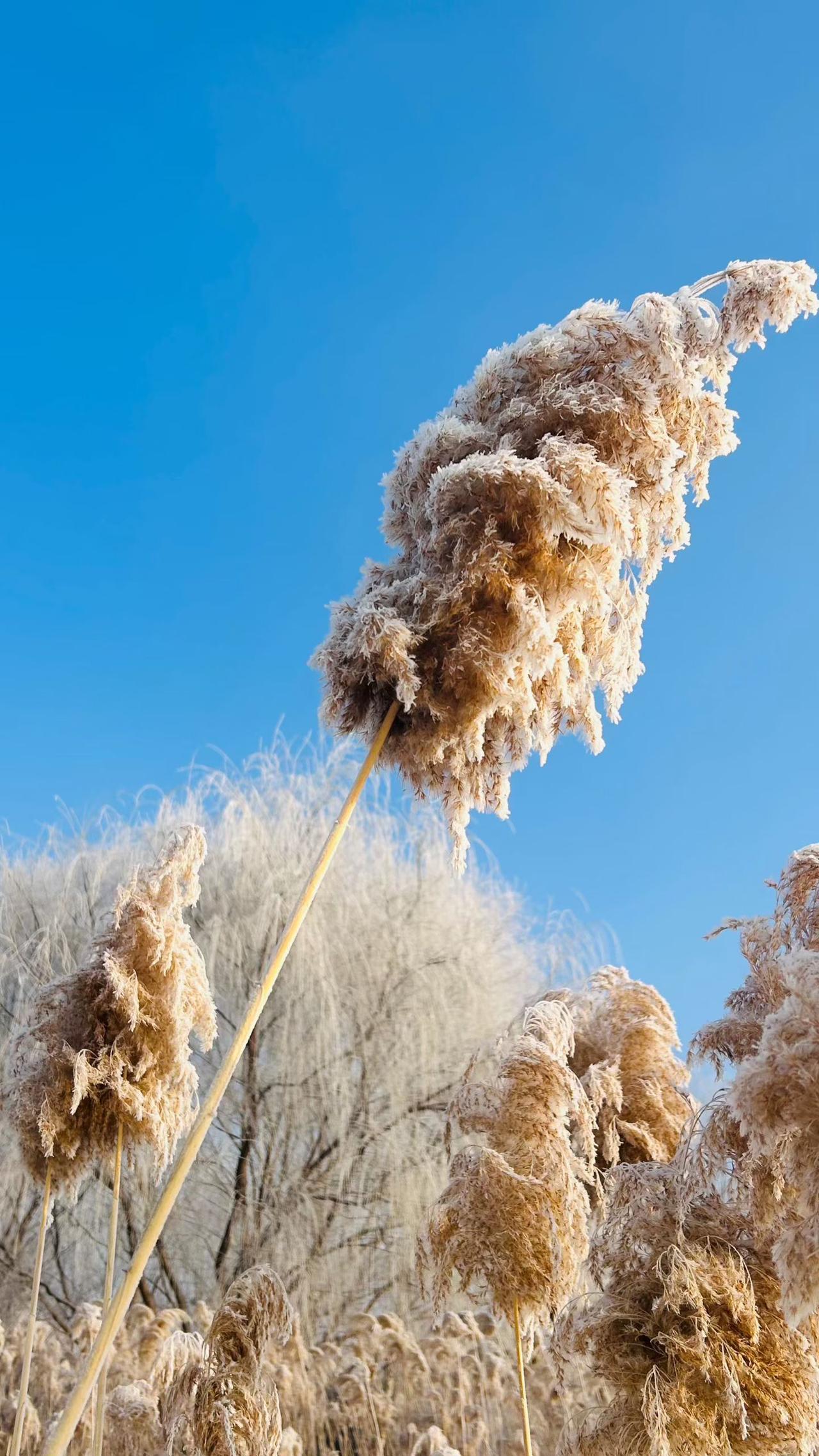 暂时的失意不是否定，
而是天道酬勤的考验，
继续埋头努力，
时间会给你最好的证明