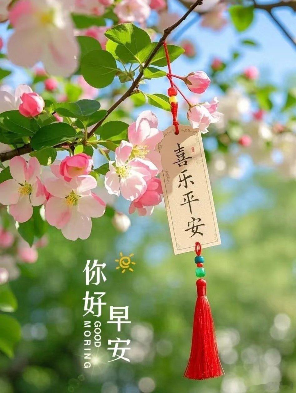 小西早安 不管外界如何变化，我们都可以选择在每一个早晨重新开始。早安～（图源网络