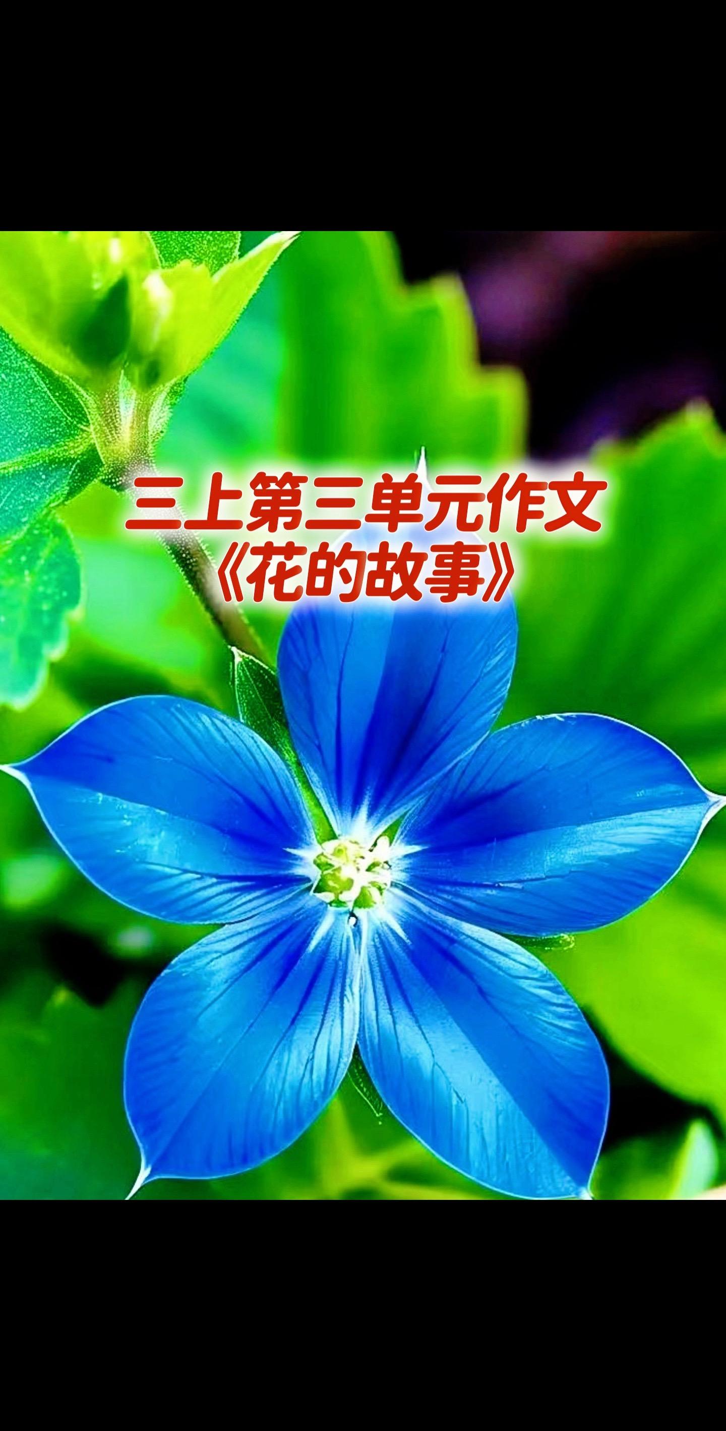 三上第三单元习作，同步优秀作文拿去吧。家长必读，小学三年级上册第三单元...