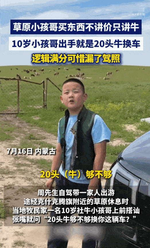 贫穷限制了想象！内蒙古赤峰，一个10岁的牧区“小孩哥”在草原上拦下一家游客，当着