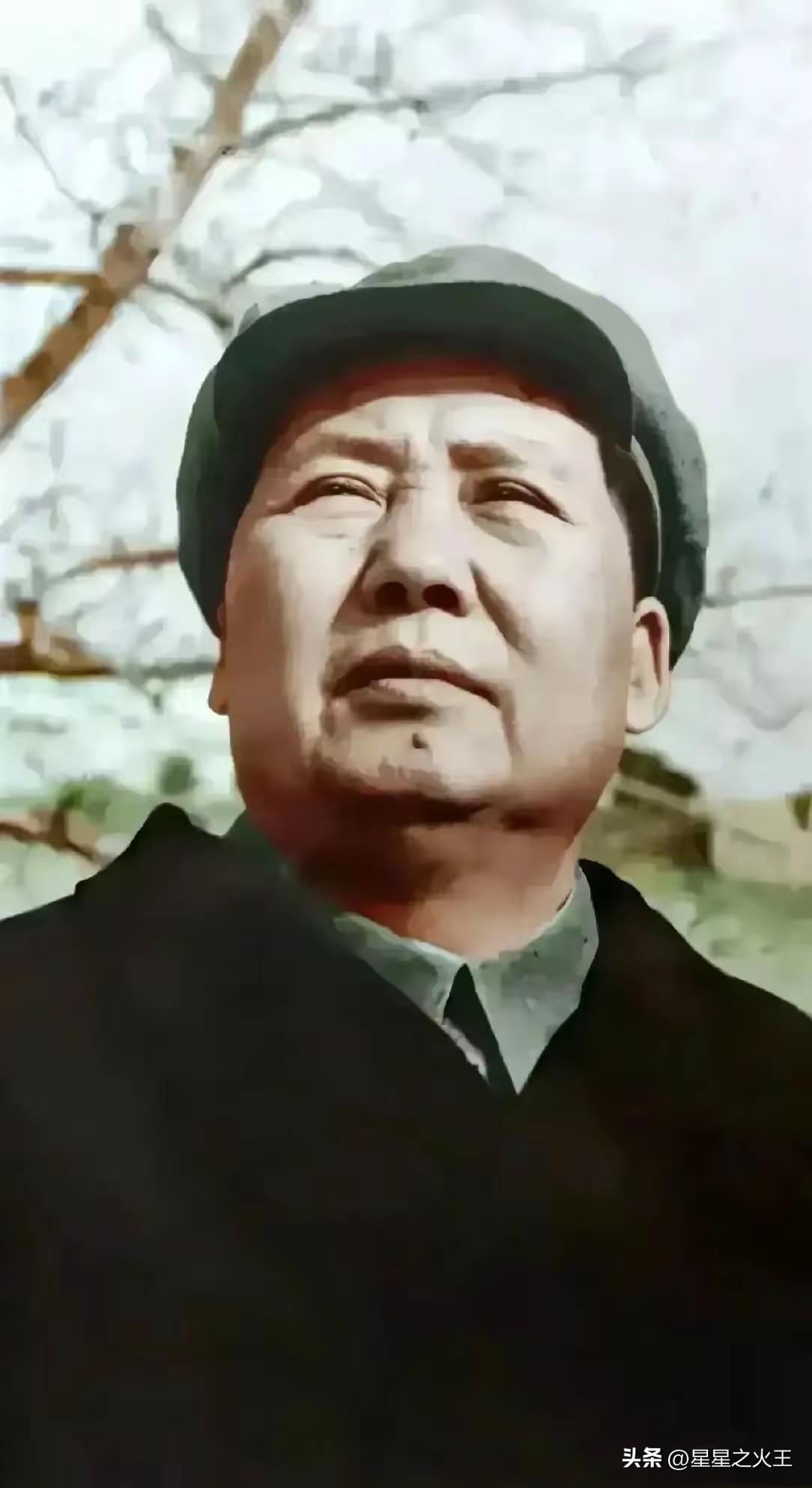 同处动荡世界，我们能安坐家中、从容观远，不必在硝烟中惶惶避难。这份安稳从不是天赐