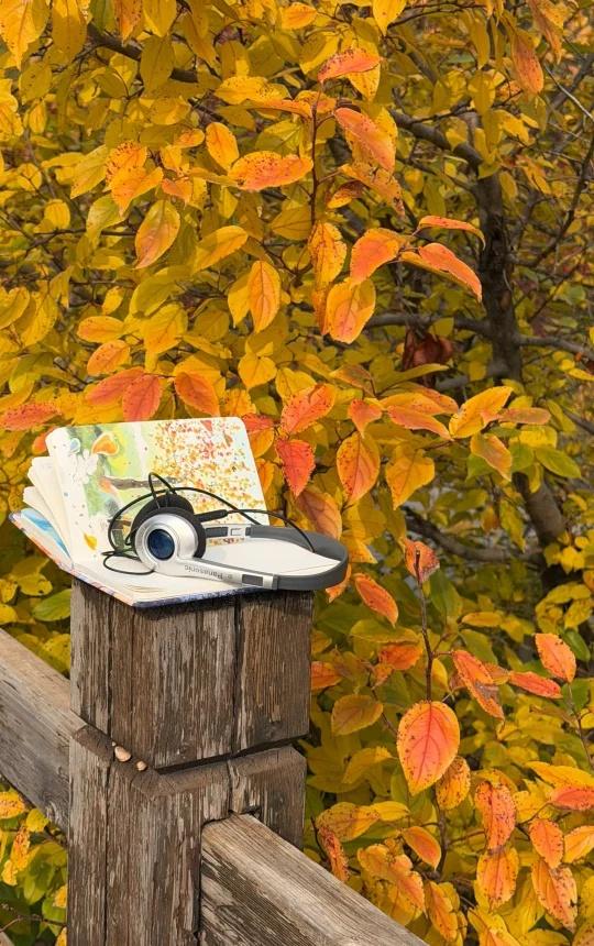 不去香山！咱去植物园
植物园、奥森真的是我秋天去最多的园子啦！ 树木够多，种类丰