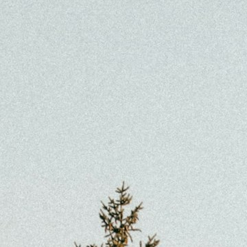 每日一善 阳光信用 生命中最珍贵的礼物不是别人，而是自悟。 