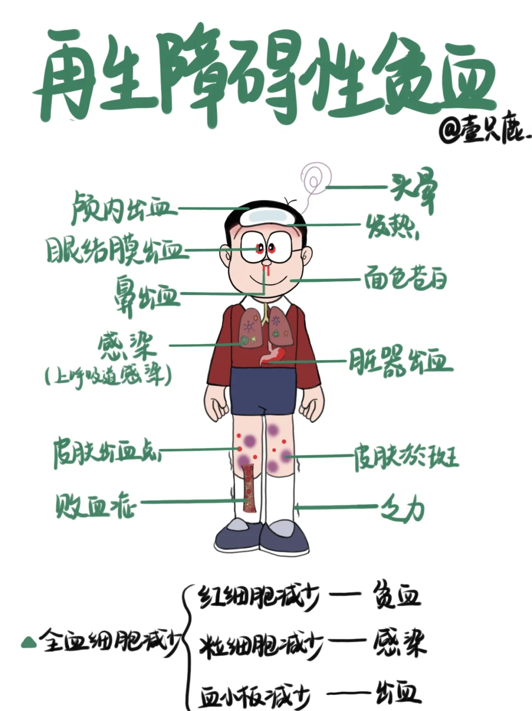 医学生笔记📒｜再生障碍性贫血🧐