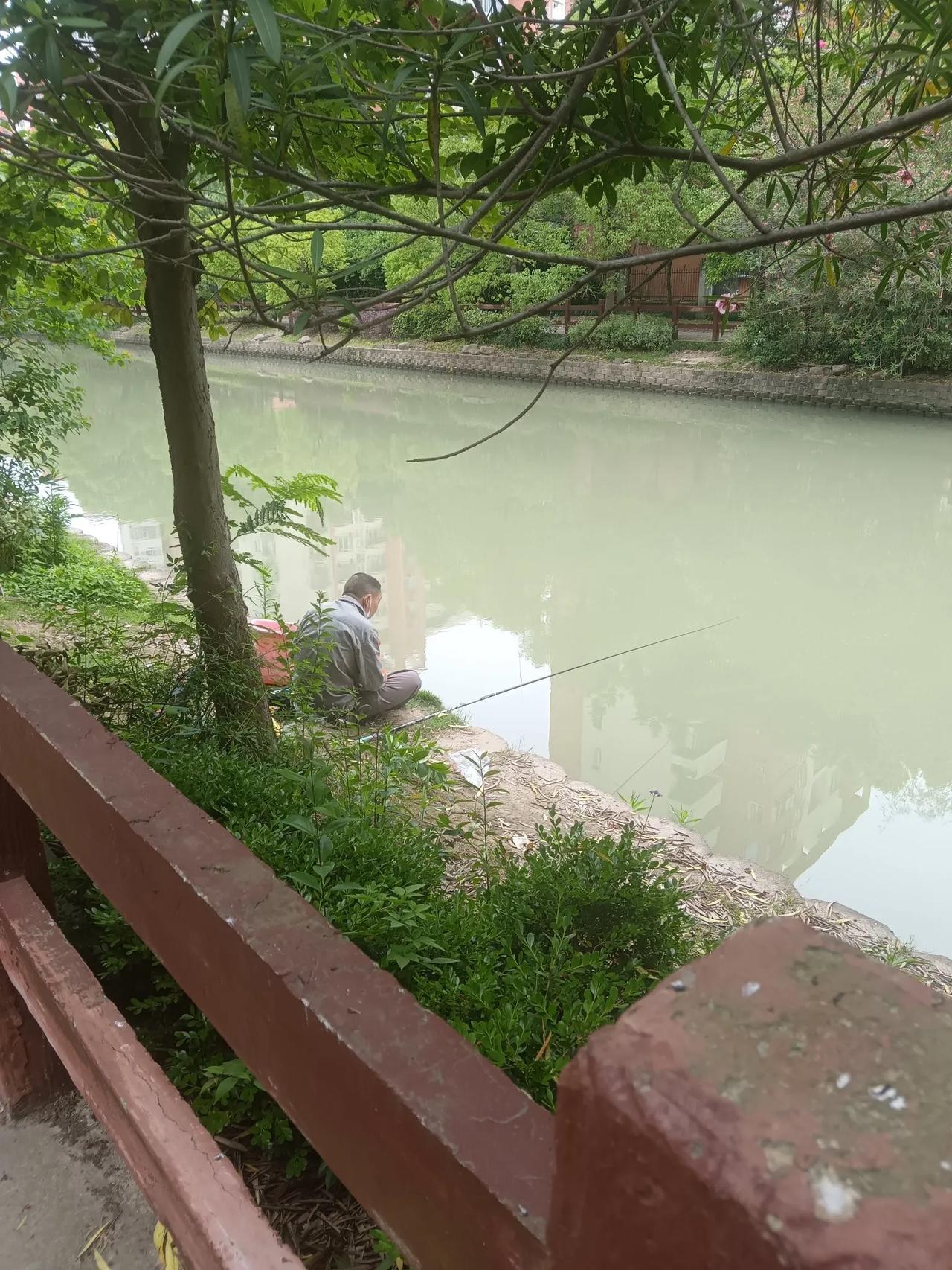 躺平不躺平不轻易判断，就算人家真躺平，又不犯法，要理解在魔都居不易。
今天星期三